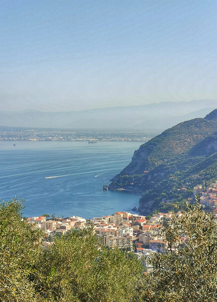 Villa Rosa Gallery